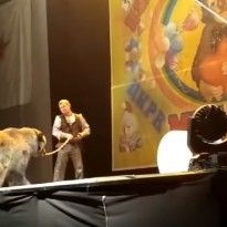 Настиг укротителя в два прыжка: в России медведь напал на дрессировщика (видео)