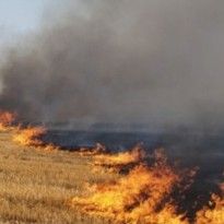 Укргидрометцентр предупреждает о чрезвычайной пожарной опасности