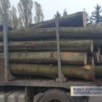 На Тернопольщине люди перекрыли дорогу, блокируя выезд из леса грузовиков с древесиной (фото)