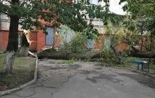 На Львівщині через негоду все ще знеструмлені майже 70 населених пунктів