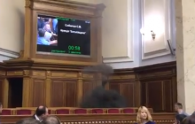 Defiant MP engages smoke grenade in Parliament (Video)