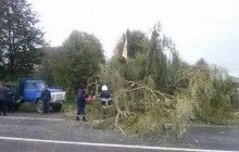 На Волині через негоду вночі було ускладнено рух на трасі Київ-Варшава