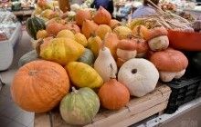 Что произойдет с организмом, если есть тыкву ежедневно: ученые дали ответ