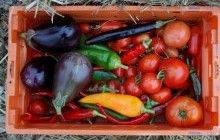 Эксперты назвали продукты, предотвращающие развитие рака