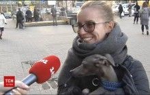 Даже вознаграждение не попросили: хозяевам вернули собаку, похищенную вместе с авто в центре Киева (видео)