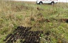 В Житомирской области пиротехники изъяли и уничтожили 44 минометные мины времен прошлых войн (фото)
