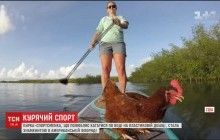 Во Флориде прославилась курица, которая любит кататься по реке на доске "паддл" (видео)