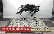Не кусає і не линяє: китайські інженери розробили робота-собаку, яким можна керувати через Wi-Fi (відео)