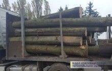 На Тернопільщині люди перекрили дорогу, блокуючи виїзд з лісу вантажівок з деревиною (фото)