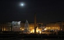 Різдвяна ялинка, яка прикрасить Ватиканську площу цього року, буде доставлена з Польщі