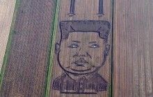В Італії на соєвому полі з'явився портрет Кім Чен Ина (фото)