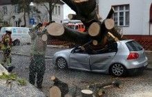 На Германию надвигается ураган "Забине"