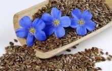 Аграрії Житомирщини отримають дотації за вирощування 5 тисяч гектар льону і гречки – ОДА