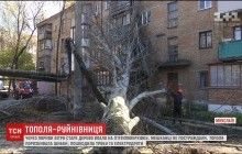 На пятиэтажку в Николаеве упало дерево