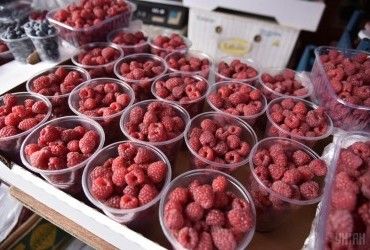В Украине начался сезон массовой продажи малины: названа цена