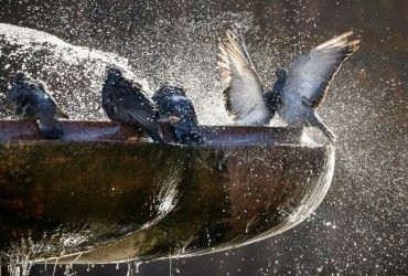 Названо точну дату, коли до Києва повернеться майже 30-градусна спека (інфографіка)