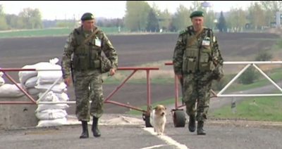 скрин видео скрин видео