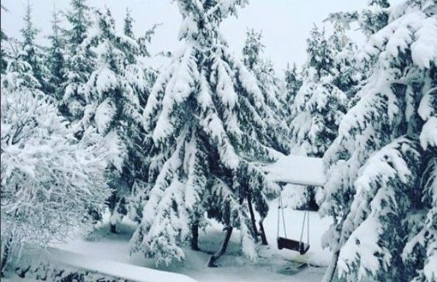 Турист, который заблудился в Карпатах перед Рождеством, вышел на связь (видео)