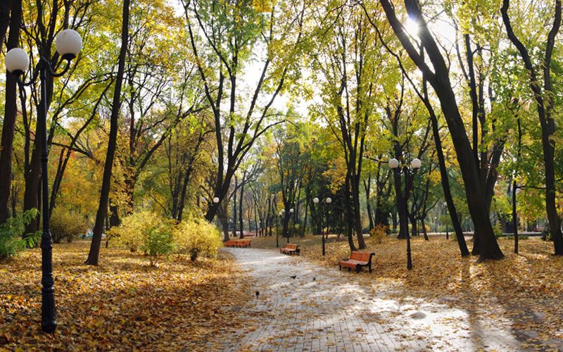13 октября в Киеве не будет холодно / фото the-city.kiev