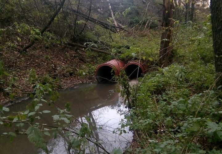 Загрязнение канализационными стоками Голосеевского национального парка / Фото facebook.com/oleksandr.sokolenko Загрязнение канализационными стоками Голосеевского национального парка / Фото facebook.com/oleksandr.sokolenko