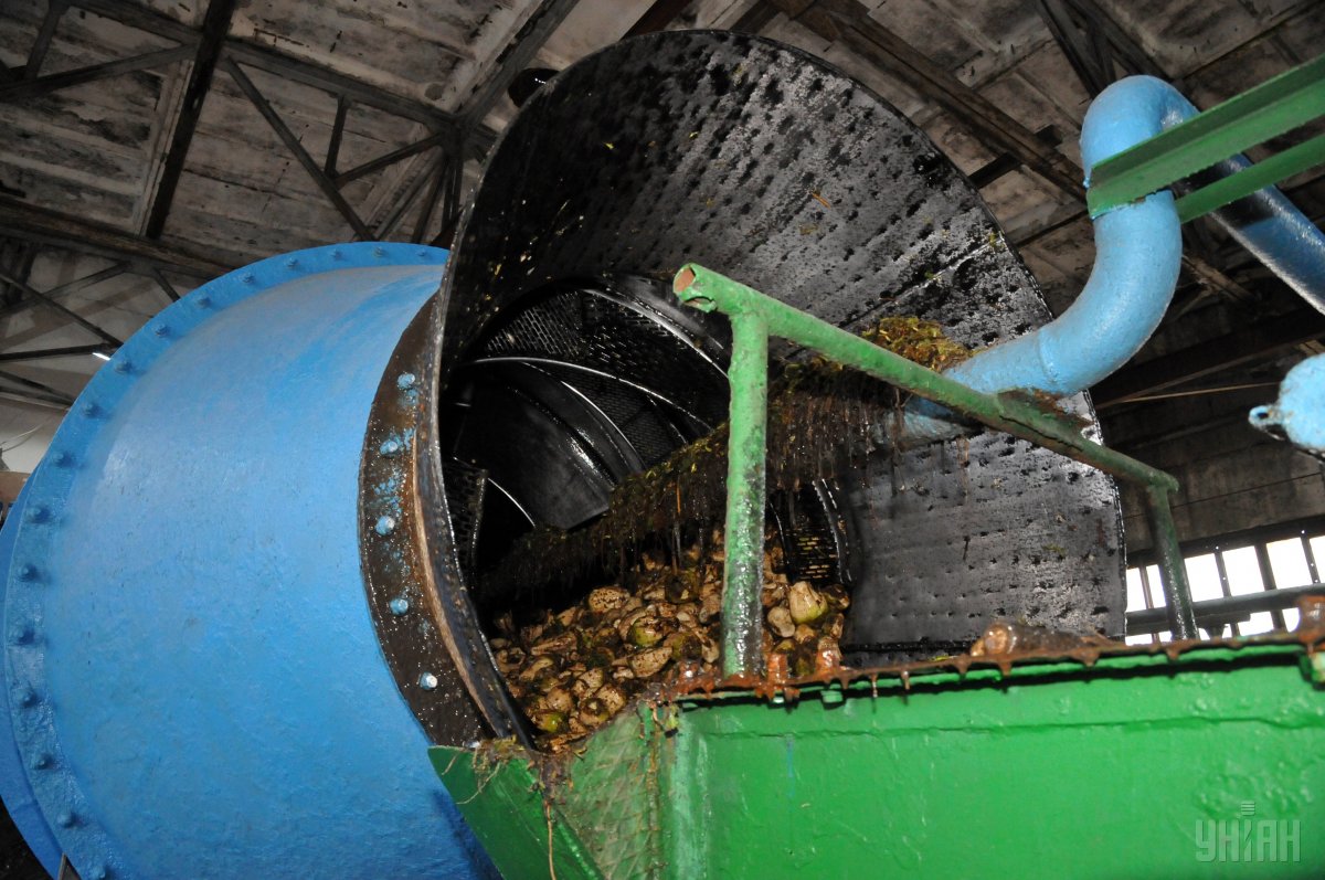 В Украине заработал 31 сахарный завод из прогнозируемых 32 / фото УНИАН