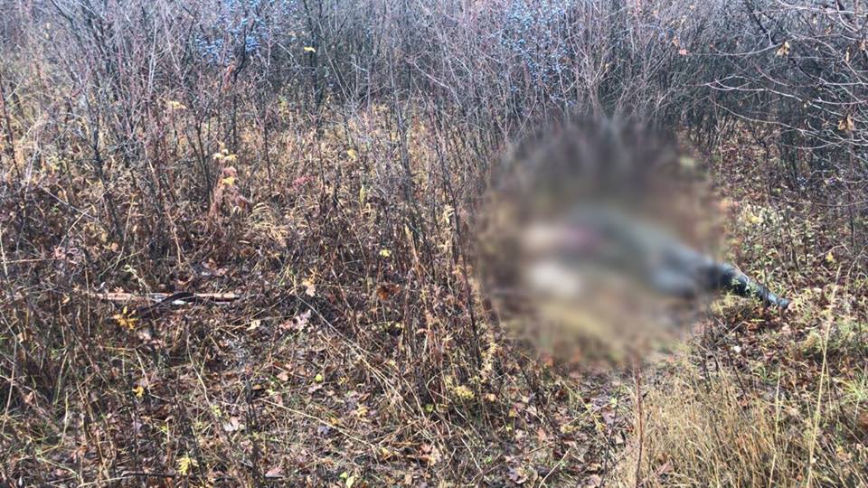 4-річний убитий обробляв в кущах тушку раніше вбитого зайця / фото Facebook В'ячеслав Аброськін 4-річний убитий обробляв в кущах тушку раніше вбитого зайця / фото Facebook В'ячеслав Аброськін