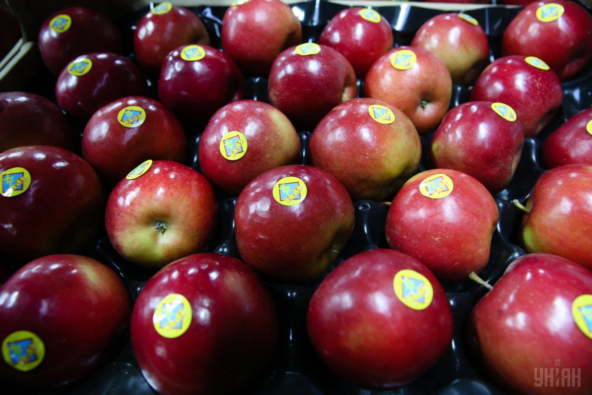 В Украине подскочила цена на яблоки / УНИАН