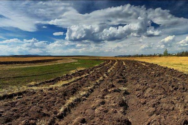 Стали известны результаты инвентаризации земель на Житомирщине / фото oda.zt.gov.ua Стали известны результаты инвентаризации земель на Житомирщине / фото oda.zt.gov.ua