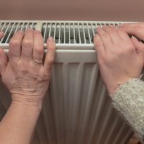 В Минфине отчитались, что задолженность по субсидиям погашена более чем на 80%
