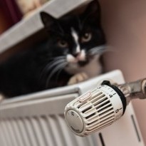 Heating, hot water tariffs increased in two Kyiv's districts