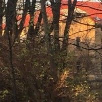 Во Львове загорелась психбольница (фото)
