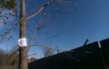 Компания "Сити-центр" объявила о желании урегулировать конфликт с военными в Одессе