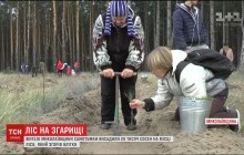 На Миколаївщині жителі власними силами висадили 20 тисяч маленьких сосен на місці лісу, який згорів влітку (відео)
