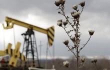 Reuters: Oil falls on lower Chinese crude imports; overall market well supported