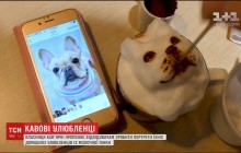 Портрет из молочной пенки: на Тайване владелица кофейни создает объемные портреты домашних любимцев