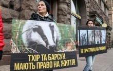 Мають право на життя: у Києві пройшла акція на захист вовків, тхорів і борсуків (фото, відео)
