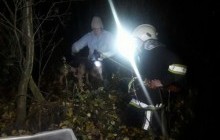 На Дніпропетровщині собака впала в колодязь і просиділа там три тижні (фото)