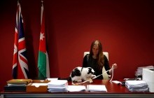 Коты на службе ее величества: на работу в британском посольстве в Иордании впервые взяли пушистого "дипломата" (фото)