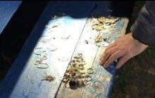 Поліція затримала крадія, який перебував у розшуку за пограбування церков