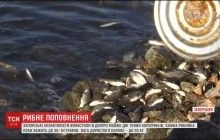 Запорожские активисты выпустили в Днепр почти 2 тонны рыбы (видео)