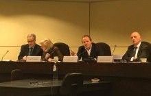 Нардеп розповіла про перші результати роботи Міжпарламентської Ради Україна - НАТО