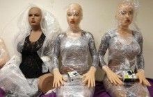 Секс-ляльки і роботи-тварини: вчені передбачили появу нової сексуальної орієнтацію