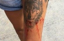Момент внезапного нападения крокодила на туристку попал на видео (фото)