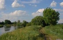 Забудова заплави річки Ірпінь може спричинити екологічну катастрофу, під загрозою - й Київ