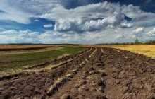 На Житомирщині відчули наслідки інвентаризації земель: надходження до бюджетів за землекористування зросли на 23%