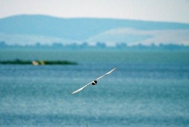 National Geographic назвав топ-25 місць у світі, які варто відвідати в 2022 році – до чого тут Україна