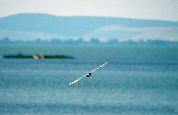 На Дунаї відкрили круїзний сезон