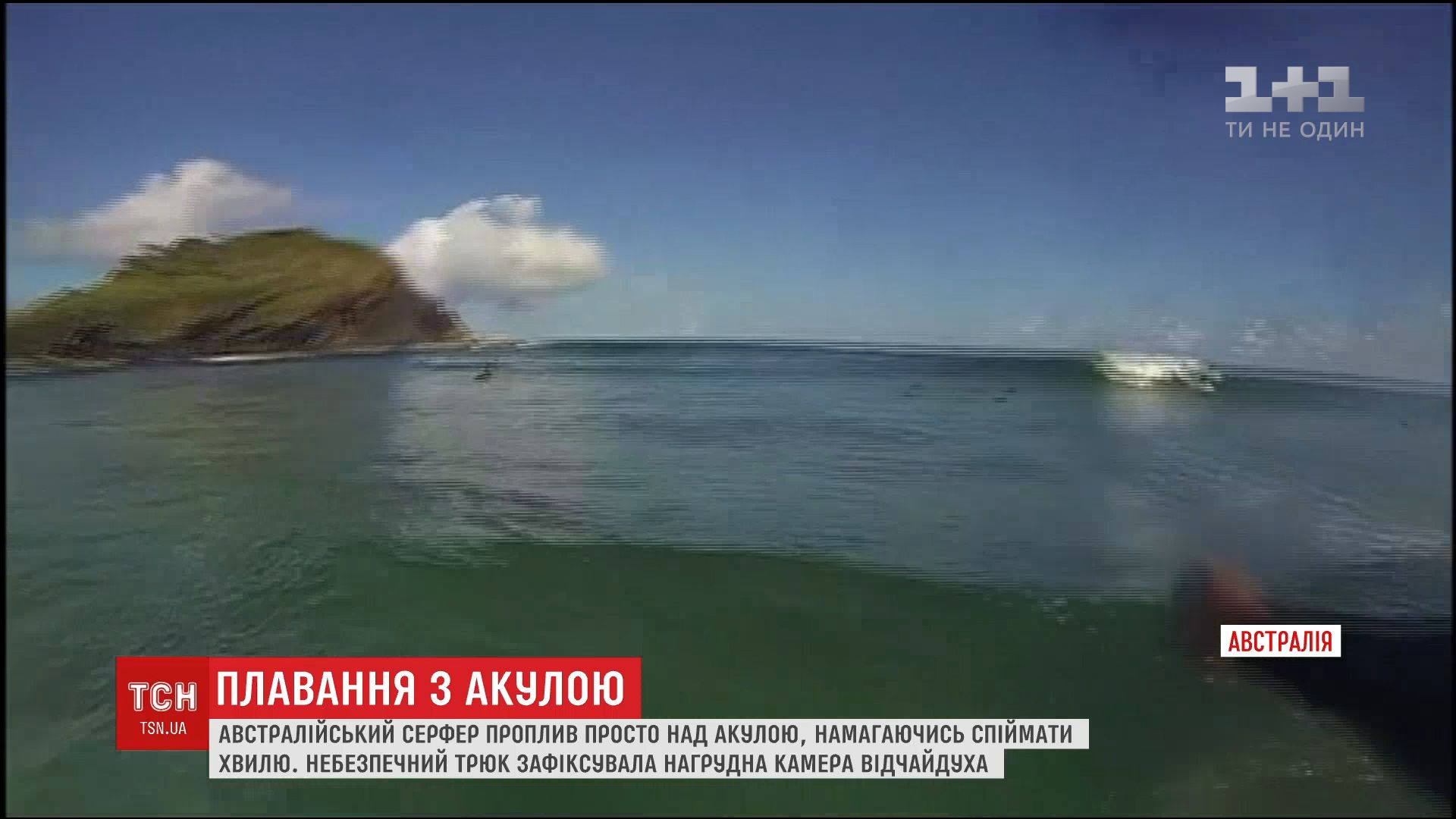 Серфер записав відео на нагрудну камеру / Скріншот відео ТСН Серфер записав відео на нагрудну камеру / Скріншот відео ТСН