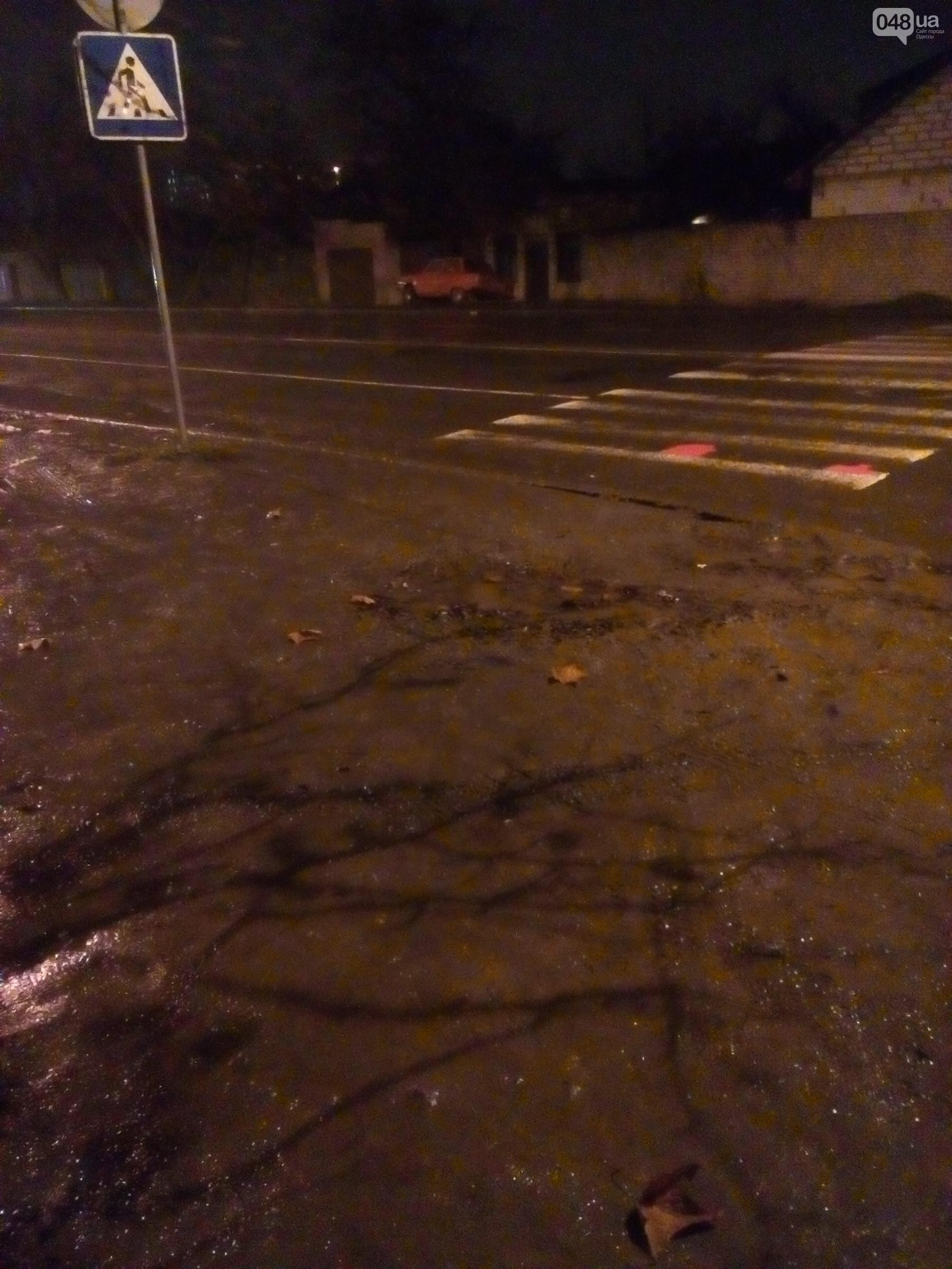 В Одесі виявили пішохідний перехід, що веде до 'болота' (фото) В Одесі виявили пішохідний перехід, що веде до 'болота' (фото)