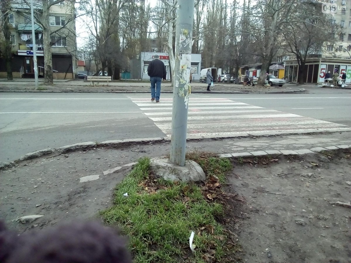 В Одесі виявили пішохідний перехід, що веде до 'болота' (фото) В Одесі виявили пішохідний перехід, що веде до 'болота' (фото)